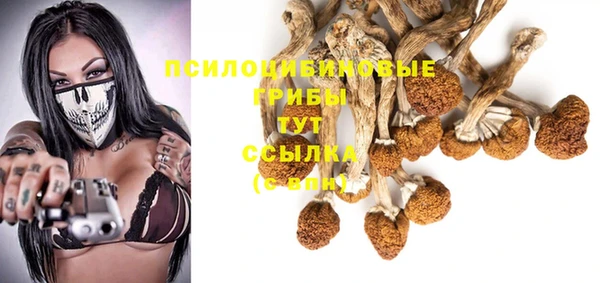 амф Баксан