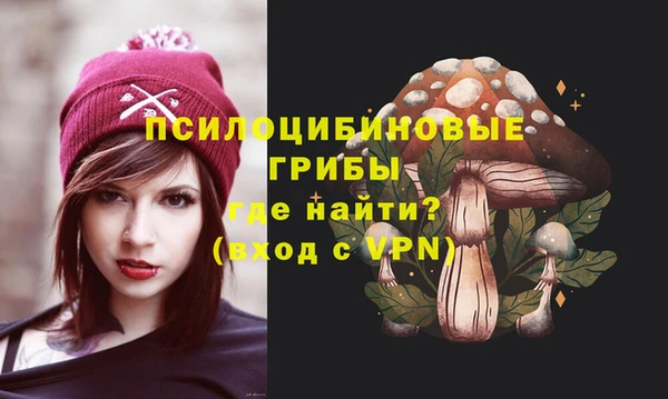 гидра Балахна