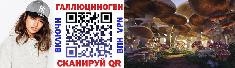 MEGA рабочий сайт дарк нет какой сайт Галлюциногенные грибы Cubensis Лермонтов